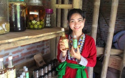 Thanh Hoá: Cô gái dân tộc khởi nghiệp thành công từ mô hình "Vườn rừng bản Thổ"