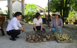 Từ nhà tranh đến nhà cao tầng, lại bỏ túi hàng trăm triệu mỗi năm nhờ trồng hoa, nuôi gà