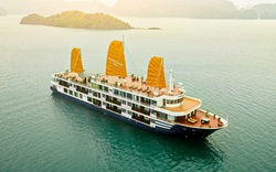 Chủ 500 tàu du lịch Quảng Ninh và cú sốc với ngân hàng chưa hồi kết