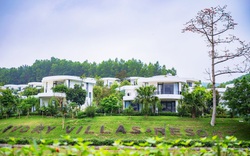 Ivory Villas & Resort: Nơi nghỉ dưỡng, chốn sinh lời