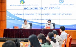 Nông dân chuyển đổi số: Trông dữ liệu, không "trông trời, trông đất, trông mây"