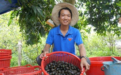 Chán làm thuê ở tỉnh Tiền Giang, trai làng tỉnh Đồng Tháp về đào ao nuôi thứ ốc đặc sản, bắt bán hàng tấn