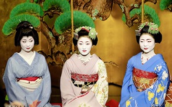 Geisha Nhật Bản và những góc khuất khiến người đời lầm tưởng