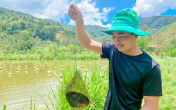 Lâm Đồng: Trai đẹp thôn Âm Phủ nuôi con không biết chạy, hàng năm nhả ngọc quý mà thu hàng trăm triệu đồng