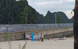 Quảng Ninh: Đang kéo lưới, ngư dân hốt hoảng phát hiện thi thể trôi dạt 