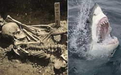 Phát hiện bất ngờ về người đàn ông bị cá mập cắn đứt lìa bàn tay cách đây 3.000 năm