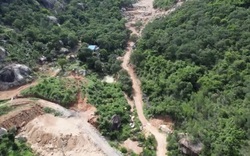 Bà Rịa - Vũng Tàu: Khởi tố vụ phá 2ha rừng phòng hộ trên núi Thị Vải