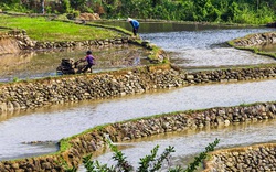 Bình Định: Lạ lùng những bờ đá chạy dài vô tận đẹp mê li, mỏng manh nhưng không bị lũ cuốn trôi