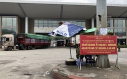 Bình Thuận: Lái xe vận chuyển thanh long lên Lào Cai để xuất khẩu cần chú ý điều gì?