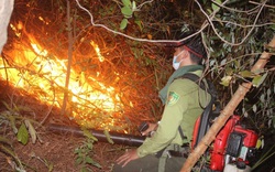 Một ngày, 2 vụ cháy rừng ở Thừa Thiên - Huế, lập tổ thường trực phòng, chữa cháy rừng