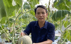 Thái Nguyên: "Lạc" vào vườn đầy trái ngọt vạn người mơ của chàng kỹ sư đam mê nông nghiệp công nghệ cao