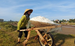 Quần quật làm việc giữa trưa nắng 40 độ C, diêm dân Nghệ An chỉ có thu nhập vài chục nghìn đồng