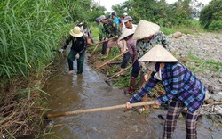 Phú Yên: Khô hạn nghiêm trọng, thủy nông đề nghị thủy điện xả nước liên tục để cứu cây trồng