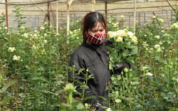 Lâm Đồng mong muốn TP.HCM mở cửa chợ Đầm Sen để giúp tiêu thụ hoa Đà Lạt 