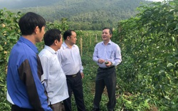 Chủ tịch BCH T.Ư Hội NDVN Lương Quốc Đoàn: Dân Việt - tờ báo của nông dân, vì nông dân 