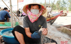 Hà Tĩnh: Dân ra biển tung lưới vài giờ kiếm tiền triệu vì bắt được nhiều con đặc sản gì?