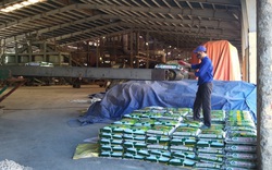 Supe Lâm Thao đẩy mạnh sản xuất, đảm bảo nguồn cung phân bón vụ hè thu