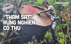 Vụ "thảm sát" rừng nghiến cổ thụ khủng nhất Việt Nam - Bài 2: Vỡ trận vì để bà con "không ưng cái bụng"