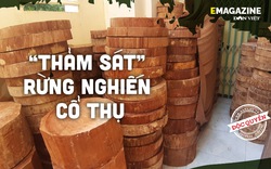 Vụ “thảm sát”rừng nghiến cổ thụ “khủng nhất” Việt Nam (Bài cuối): Cần sự vào cuộc của các cơ quan Trung ương
