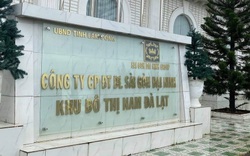 Thanh tra Chính phủ "rút" yêu cầu thu hồi dự án nghìn tỷ Khu đô thị Đại Ninh
