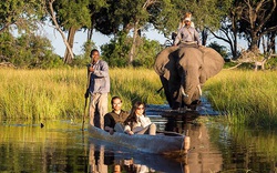 Bộ lạc Bayei với tour Safari nước độc đáo và các loài vật hung dữ, to lớn