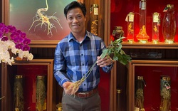 Quảng Nam: Một doanh nghiệp được lập thủ tục thuê môi trường rừng để trồng cây “Quốc bảo”