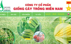 SSC: Lãi ròng 20 tỷ đồng sau 6 tháng, hoàn thành 50% kế hoạch năm