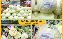 Vụ siêu thị "hét" giá bắp cải 250.000 đồng/kg trong mùa dịch Covid-19, sự thật là đâu?