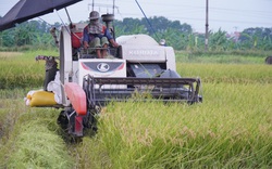 Việt Nam sản xuất lương thực thực phẩm với cam kết minh bạch, trách nhiệm, bền vững