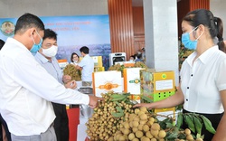 Mỹ chi 15 tỷ USD mua trái cây, nhất là loại "dùng ngay", tăng tốc nhập khẩu từ Việt Nam