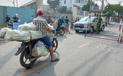 Nông sản, thực phẩm không thiếu nhưng TP.HCM phải công khai phương án tiếp nhận 