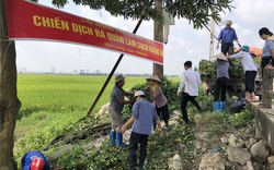 Bắc Ninh: Hội Nông dân hoạt động thiết thực, sôi nổi giúp hội viên có động lực vươn lên làm giàu