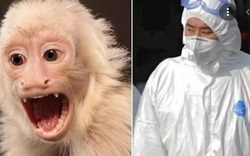 Bác sĩ thú y Trung Quốc mất mạng vì một loại virus vô cùng nguy hiểm