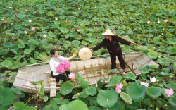 Ninh Bình: Mở cửa trở lại các hoạt động, điểm du lịch kể từ 0h00 ngày 3/7