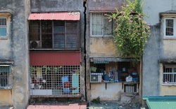 50 hộ dân đang sống trong khu tập thể "chờ sập" ở trung tâm Hà Nội