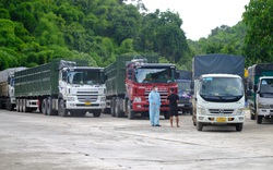 Nguyên nhân dẫn tới ùn ứ nhiều xe tải tại chốt kiểm dịch đèo Chuối - Lâm Đồng