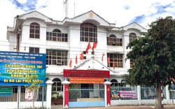 Tạm đình chỉ công tác một chủ tịch UBND phường ở Ninh Thuận vì thu tiền cấp giấy xác nhận đi đường