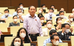 Đại biểu Quốc hội Lê Thanh Vân: Phó Chủ tịch phường ở Nha Trang nhận thức ấu trĩ về chống dịch