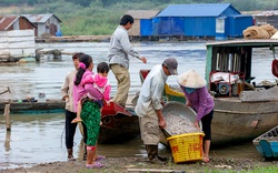 Đồng Nai: Con cá, mớ rau chở nặng ân tình của dân nghèo miền núi gửi về vùng dịch