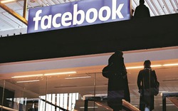 Facebook chi hơn 700 tỷ đồng vào năm ngoái để bảo vệ hai nhân vật quyền lực này