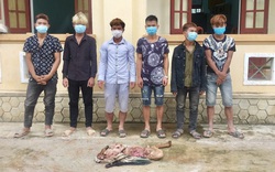 Quảng Bình: Công an huyện Minh Hoá bắt Hồ Ly cùng 5 kẻ trộm, chặt 4 chân bò của nông dân làm mồi nhậu