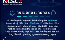 Phát hiện lỗ hổng bảo mật trên Windows 10, mã khai thác công khai trên internet