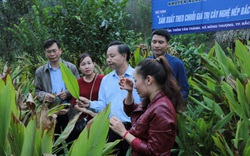 Bà Đỗ Thị Minh Hoa, Phó Chủ tịch UBND tỉnh Bắc Kạn: Làm OCOP, tỉnh biến khó khăn thành lợi thế