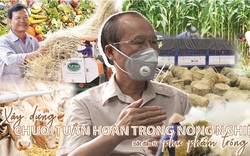 Xây dựng chuỗi tuần hoàn trong nông nghiệp bắt đầu từ phụ phẩm trồng trọt