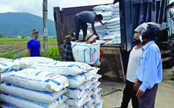 Hơn 3.000 tấn phân bón trả chậm tới tay nông dân 