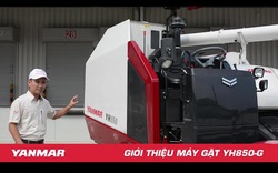 YH850 - máy gặt lúa công nghệ cao phù hợp cho mọi cánh đồng Việt Nam