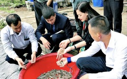 CEO Tập đoàn Thủy sản Bồ Đề Nguyễn Thị Hằng và ‘sứ mệnh’ hình thành cộng đồng sản xuất đầy trách nhiệm