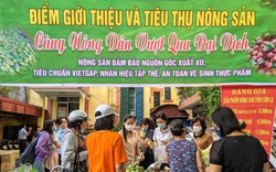 15 tấn nông sản Sơn La được Hải Phòng hỗ trợ tiêu thụ không lợi nhuận