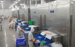 Tiền Giang tạm dừng sản xuất "3 tại chỗ", các doanh nghiệp kêu cứu Bộ trưởng Bộ NNPTNT