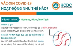 Vắc xin Covid-19 hoạt động như thế nào?